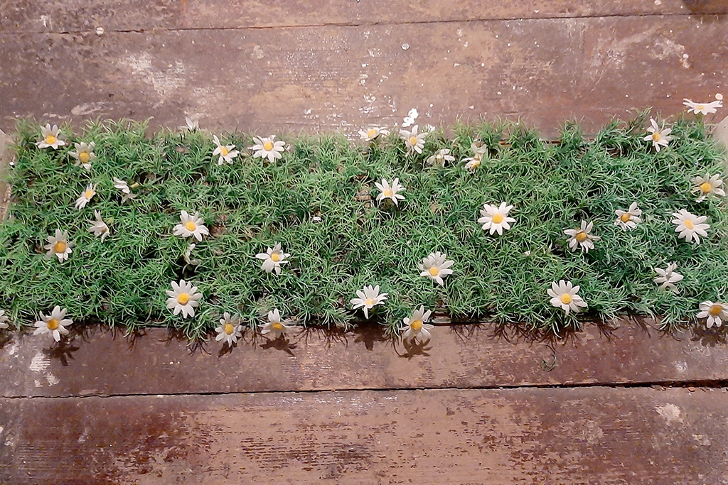 Bibi Weber: Seelenwechsel