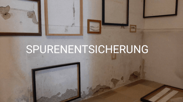 Evelyn Kreinecker: Spurenentsicherung